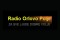 Radio Orlovo Polje logo