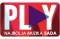 Play Party logo